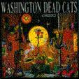 Washington Dead Cats : Go Crazy !